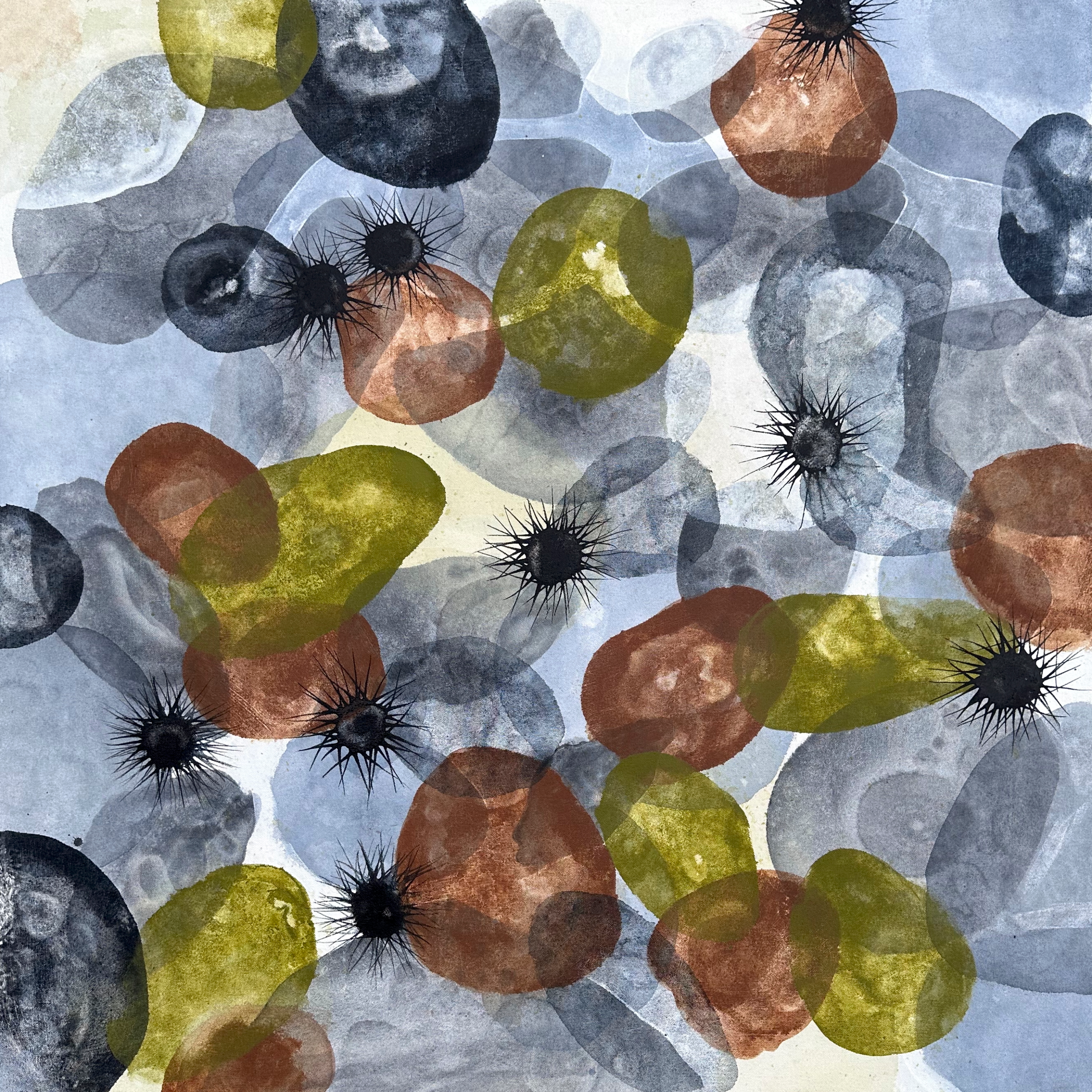 Urchins of Cala de Gret - Image 7