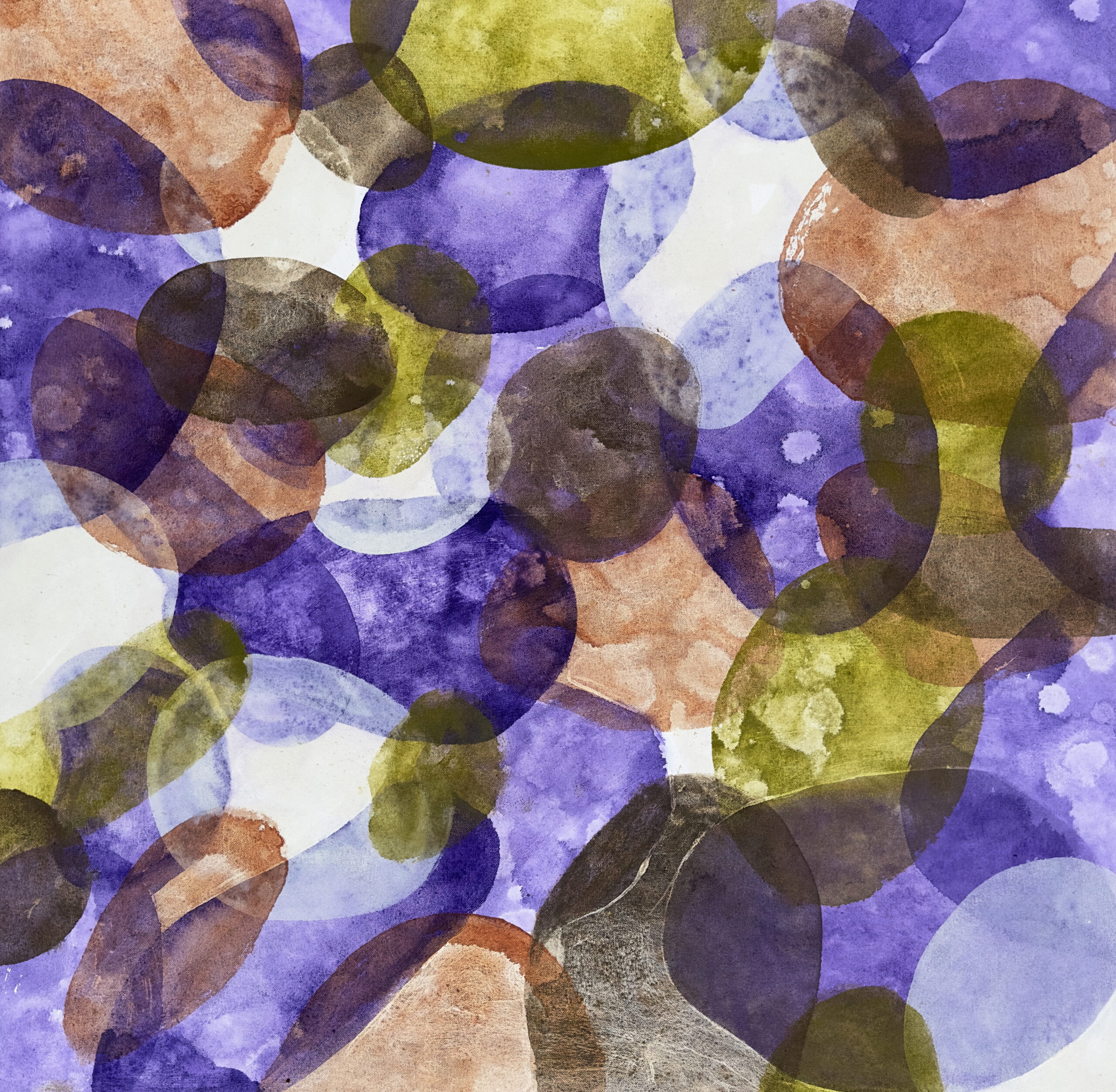 Mediterranean Pulse - Image 3