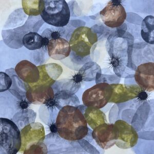 Posters, Prints, Canva