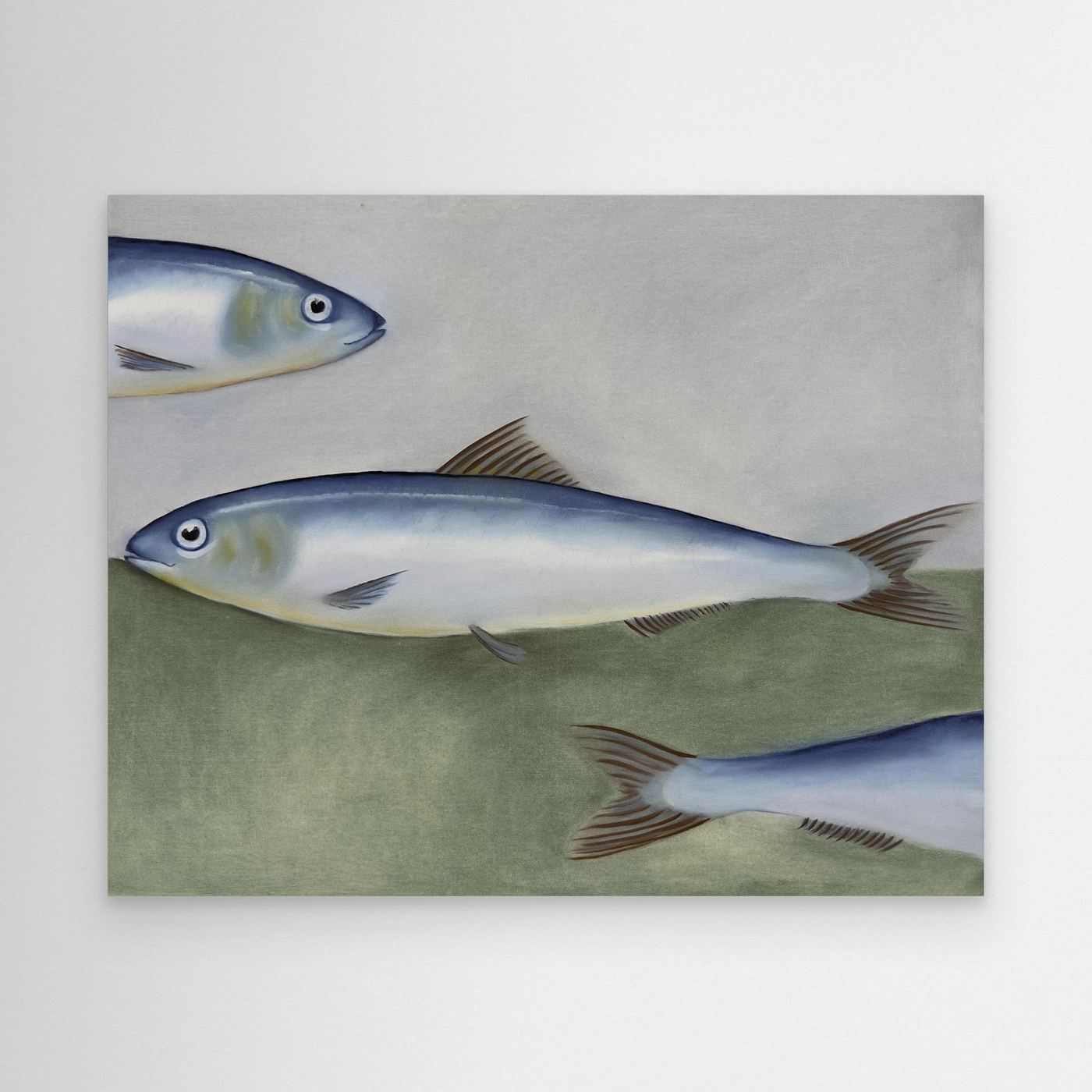 Sardines