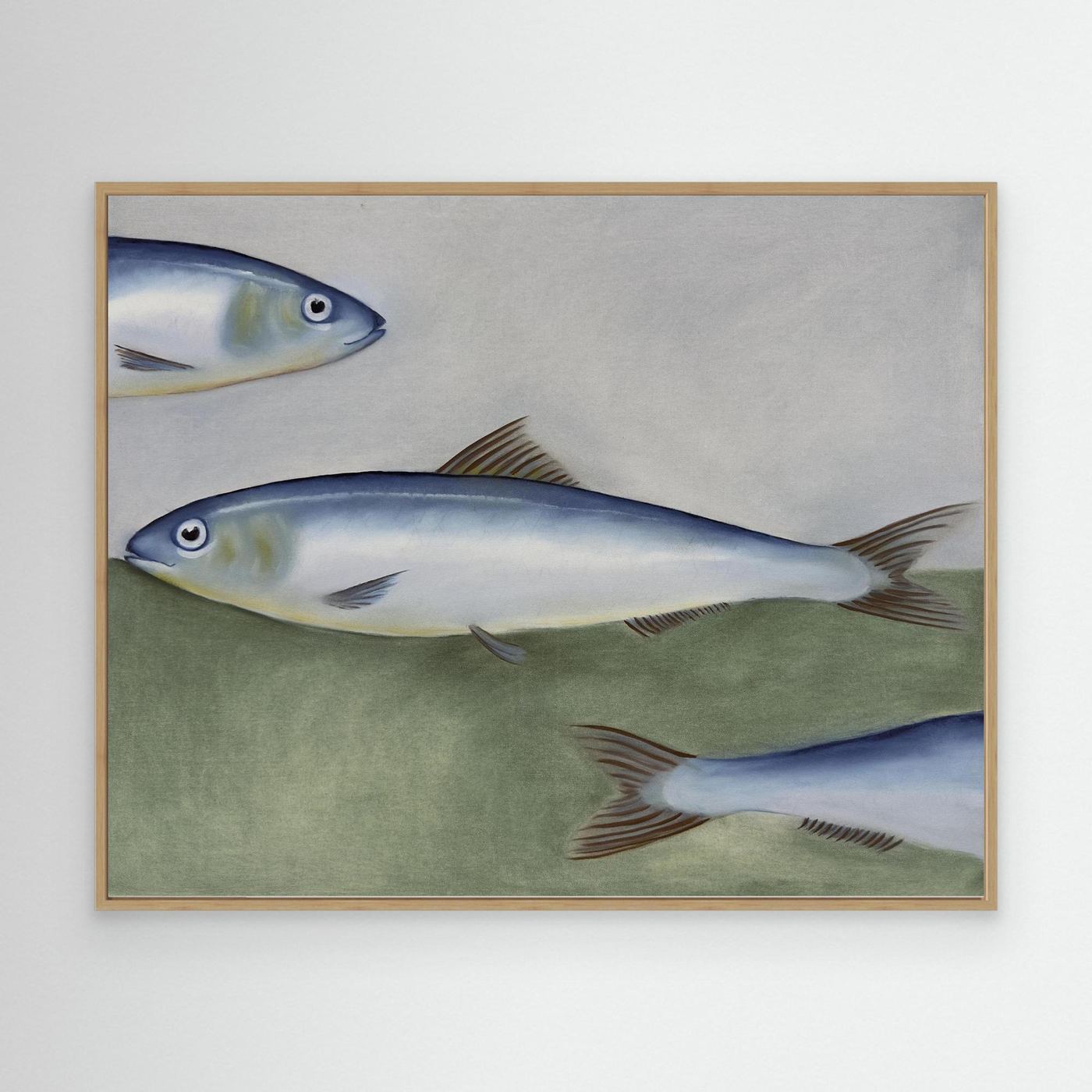 Sardines