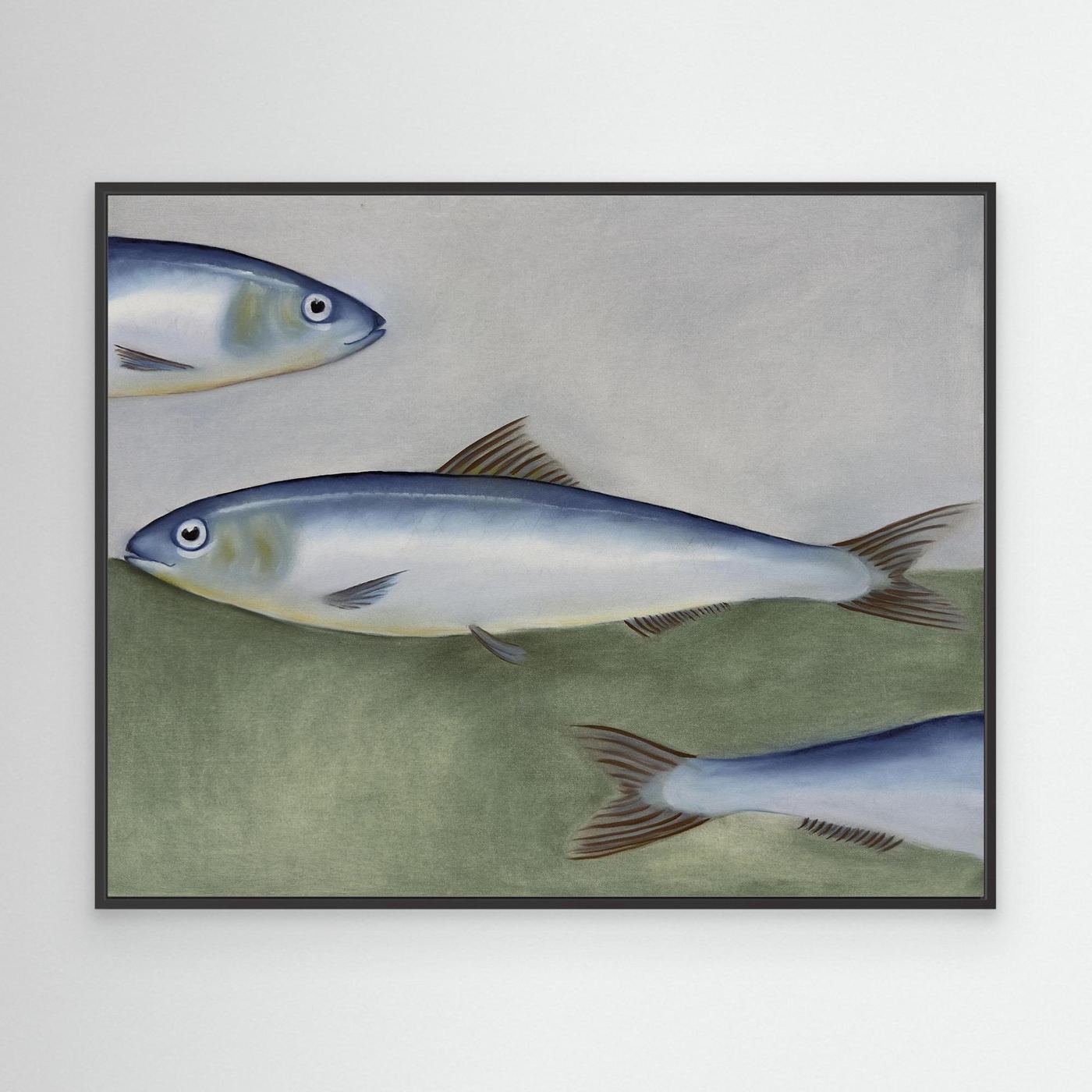 Sardines